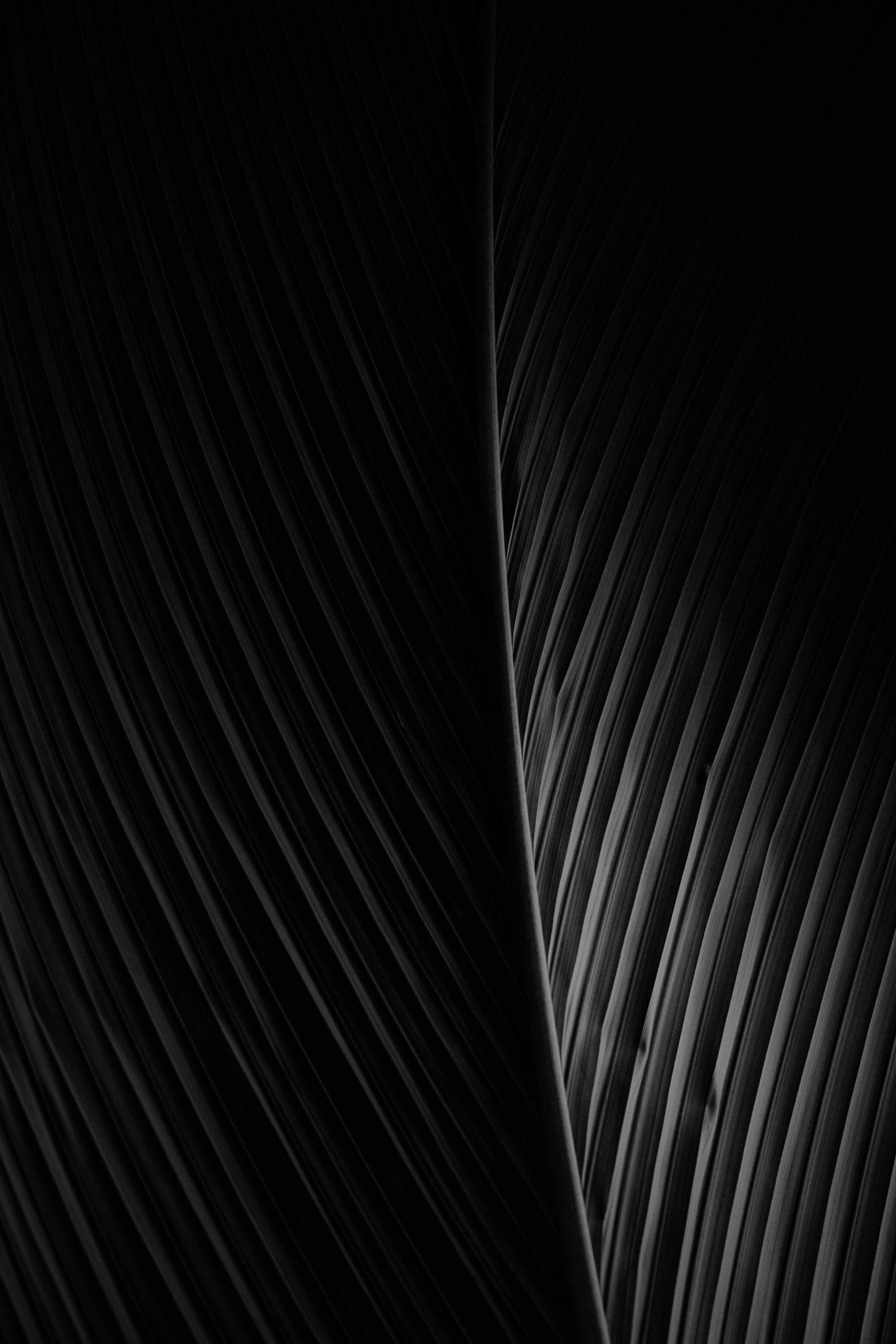 Abstract black and white image of patterns